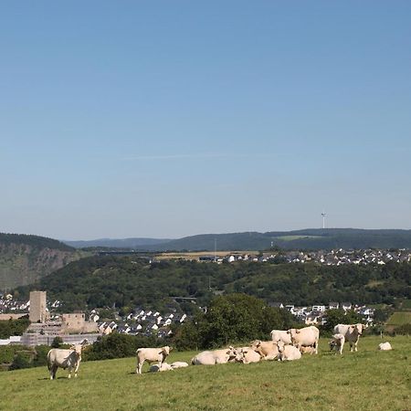 Ferienwohnung Auf Der Moselhoehe - Naehe Koblenz Und Cochem 디에블리흐 외부 사진