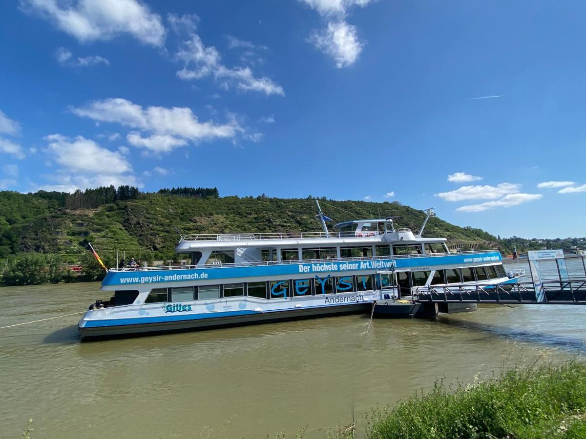 Ferienwohnung Auf Der Moselhoehe - Naehe Koblenz Und Cochem 디에블리흐 외부 사진