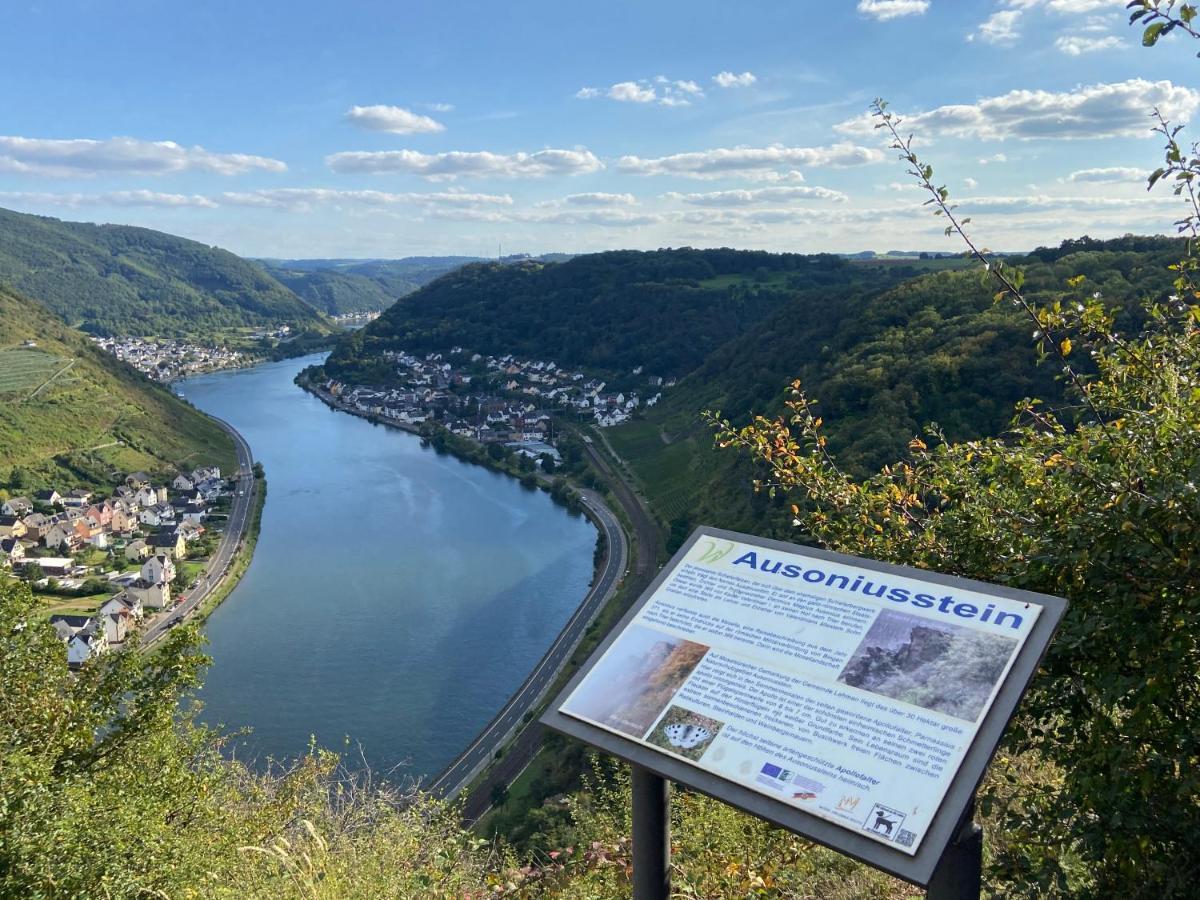 Ferienwohnung Auf Der Moselhoehe - Naehe Koblenz Und Cochem 디에블리흐 외부 사진