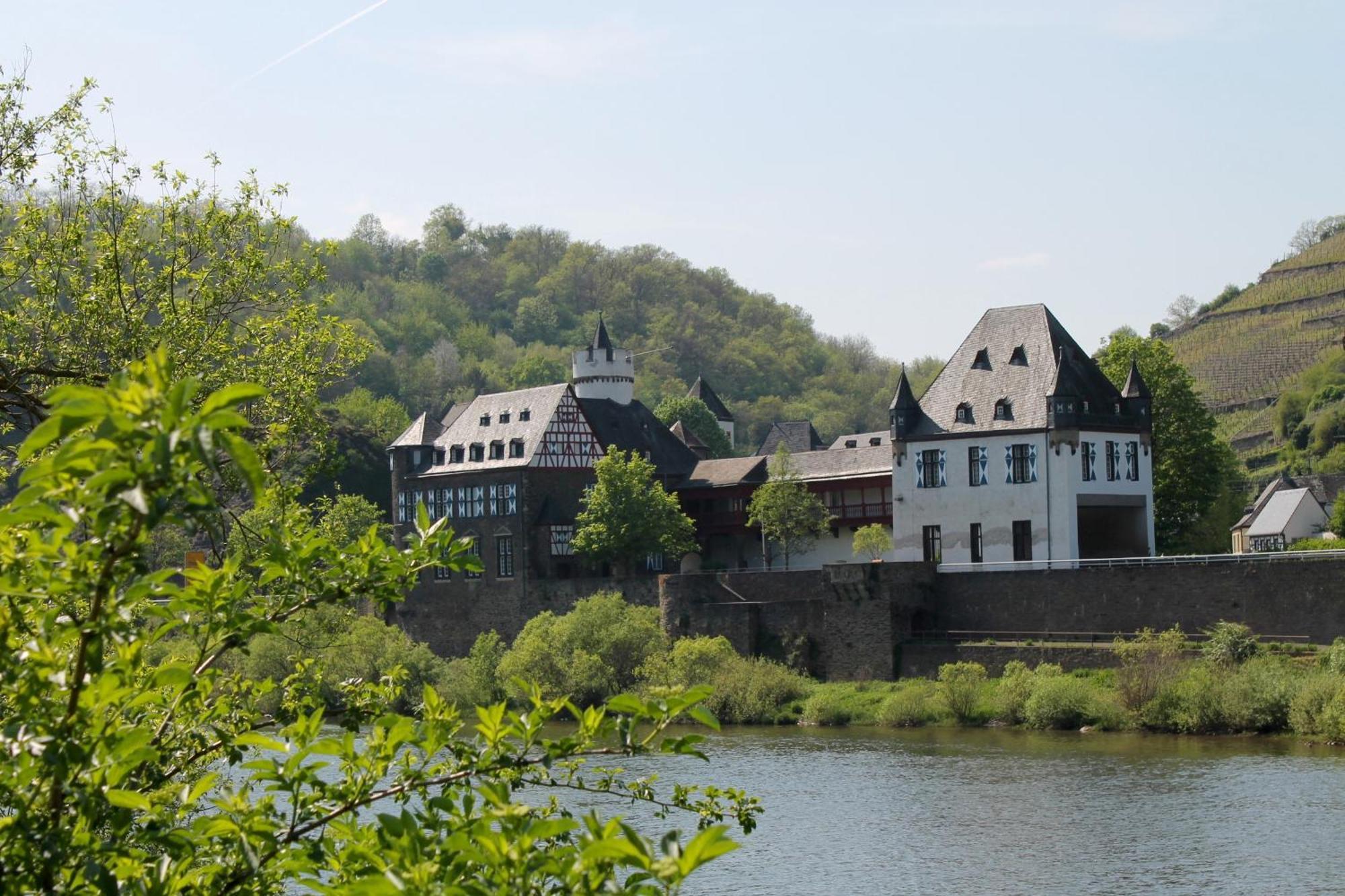 Ferienwohnung Auf Der Moselhoehe - Naehe Koblenz Und Cochem 디에블리흐 외부 사진