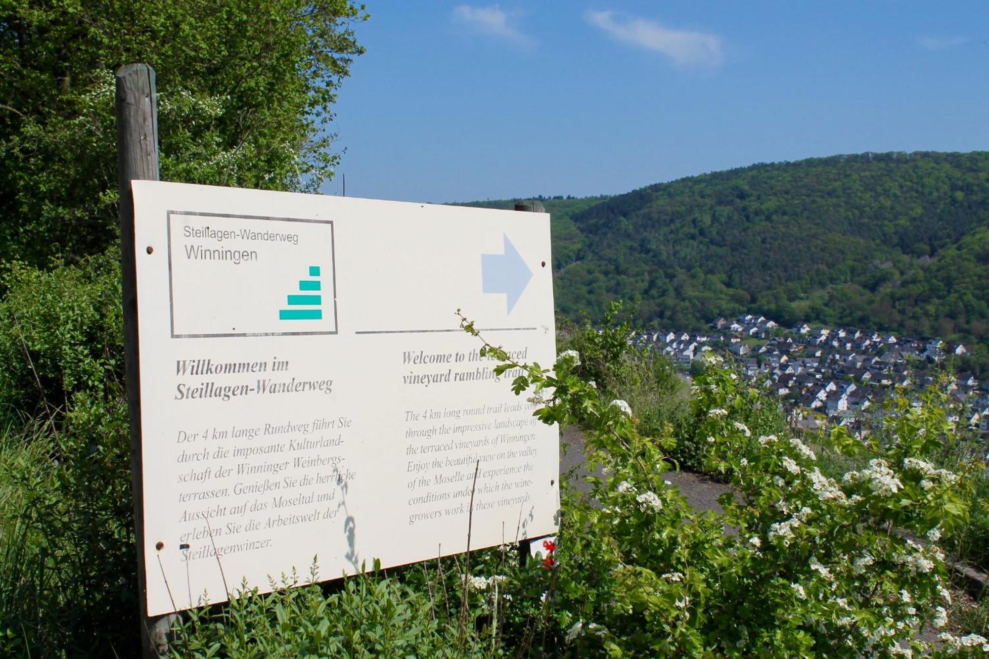 Ferienwohnung Auf Der Moselhoehe - Naehe Koblenz Und Cochem 디에블리흐 외부 사진