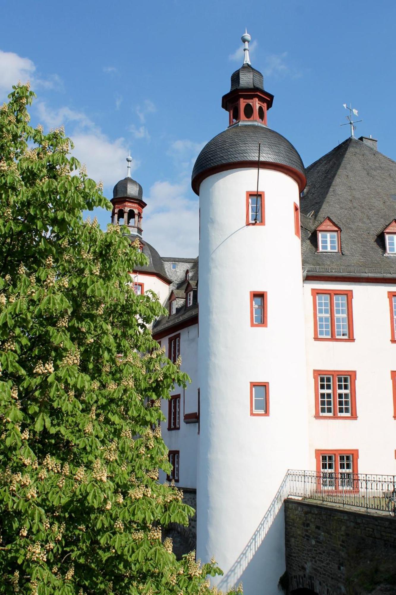 Ferienwohnung Auf Der Moselhoehe - Naehe Koblenz Und Cochem 디에블리흐 외부 사진