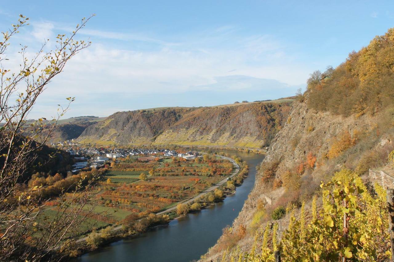 Ferienwohnung Auf Der Moselhoehe - Naehe Koblenz Und Cochem 디에블리흐 외부 사진