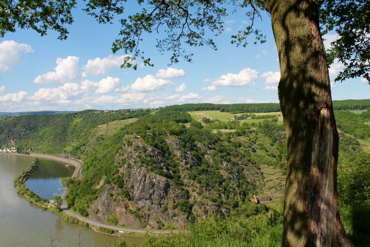 Ferienwohnung Auf Der Moselhoehe - Naehe Koblenz Und Cochem 디에블리흐 외부 사진